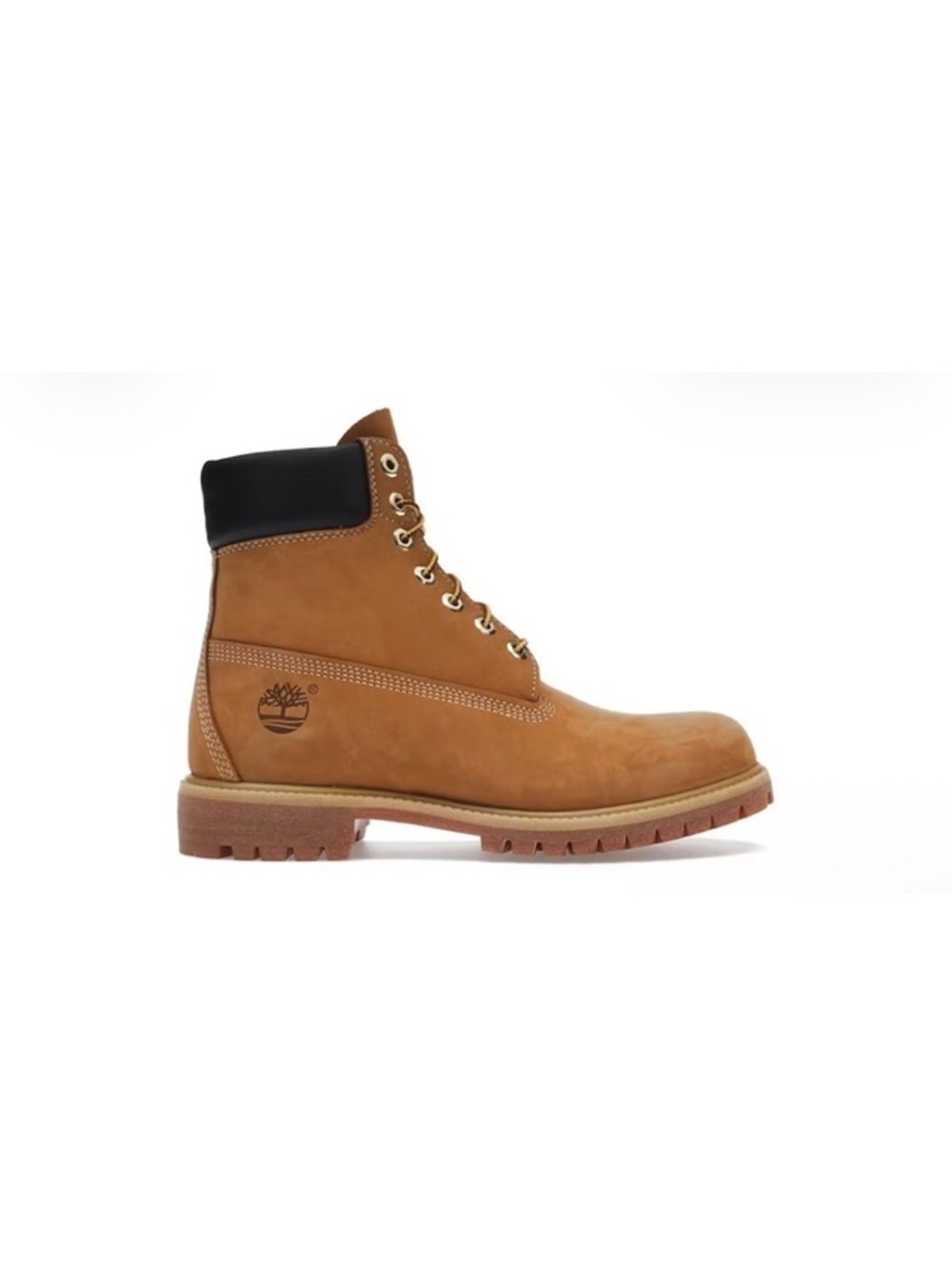Size 13 Timberland 6" Premium Waterproof Boot